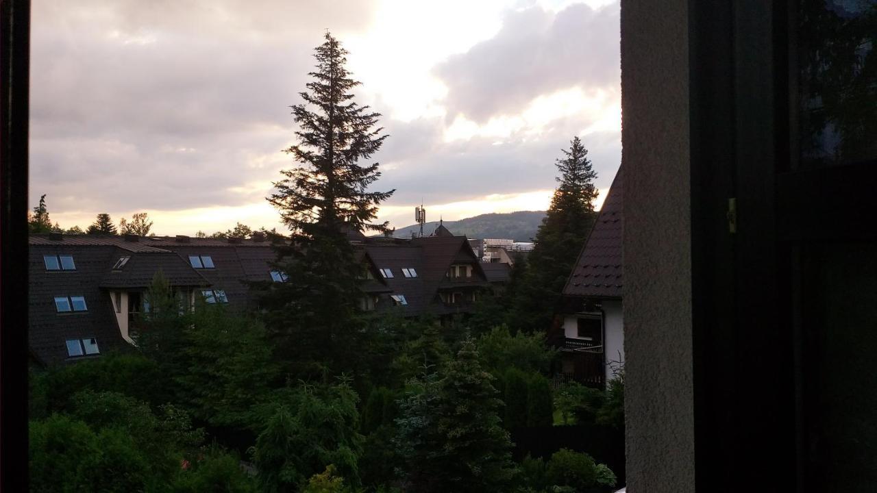 זקופאנה Apartamenty Malinka מראה חיצוני תמונה
